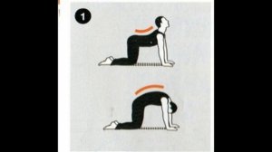 Все про рост человека (как вырасти!!).