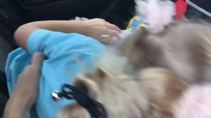 ВЛОГ У нас ЧП!!! Едем в ГОСПИТАЛЬ Alice hurt her hand and we are going to the hospital Samui island