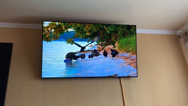 ЧЕРЕЗ 3 ГОДА LG OLED ВЫГОРЕЛ! Выгорание OLED дома и в Магазине. [2022] смотреть онлайн