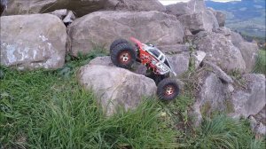 Losi: 1/10 Night Crawler/ACTION