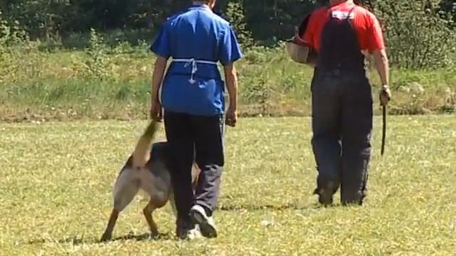 Bacteroides Sikke SchH смотреть онлайн