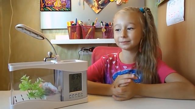 Аквариум с рыбкой на детском столе!! Распаковка, обзор. Aquarium fish on the children's table! смотреть онлайн