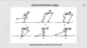 Лыжные ходы: одновременный бесшажный, одновременный одношажный ход