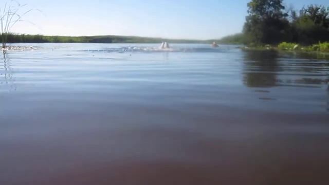 Плавание. Баттерфляй на речке. смотреть онлайн