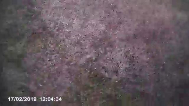 Syma X8Pro + Go Pro смотреть онлайн