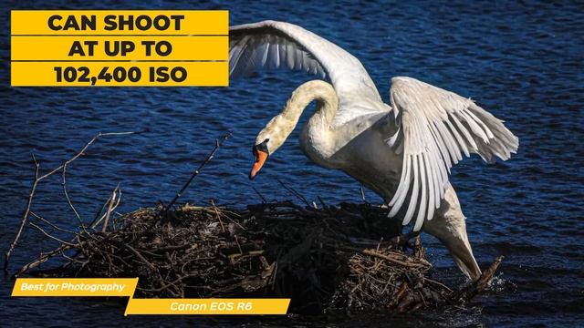 Обзор лучших камер Canon (ТОП-5) | Рейтинг 2023 года | Цены смотреть онлайн