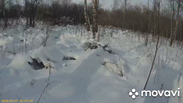 05.02.2022г. Рыбалка, покатушки на мотобуксировщиках. смотреть онлайн