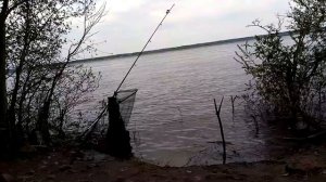 Рыбалка на сало.
