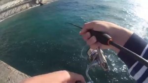 Рыбалка на Черном море. Как ловить зеленуху.Отличный клев всегда.