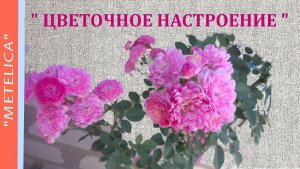 " Цветочное настроение. "   Мои любимые цветы."Flower mood." My favorite flowers.