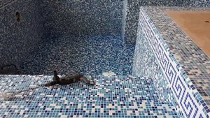 Бассейн в частном доме. Реконструкция и ремонт: №9 Отделка мозаикой, затирка швов +7 (926) 224-71-4