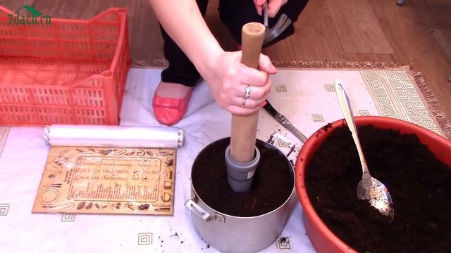 Торфяные таблетки своими руками - 7 дач