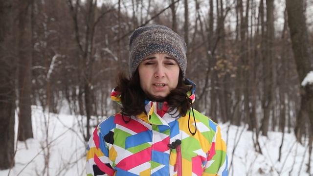 Призрачные планы или будущие недострои в Кошкином лесу? смотреть онлайн