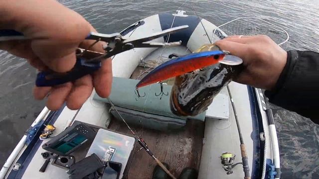 Троллинг, твиччинг или джиг? Как поймать хищника? смотреть онлайн