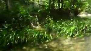 Сплав на плотах Пхукет Тайланд