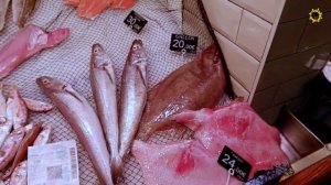Испания | Рынок в Валенсии | Цены на рыбу и морепродукты | Дары Средиземного моря
