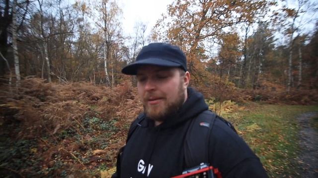 Autumn forest colours with the EM1 Mark III смотреть онлайн