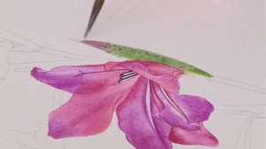 How to paint a Gladioli in water colour - by Billy Showell - Preview Video