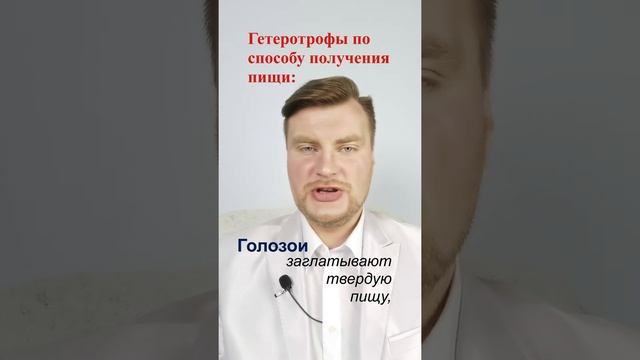 Классификация гетеротрофов по способу получения пищи. ЕГЭ Биология. ЕГЭ 2022.