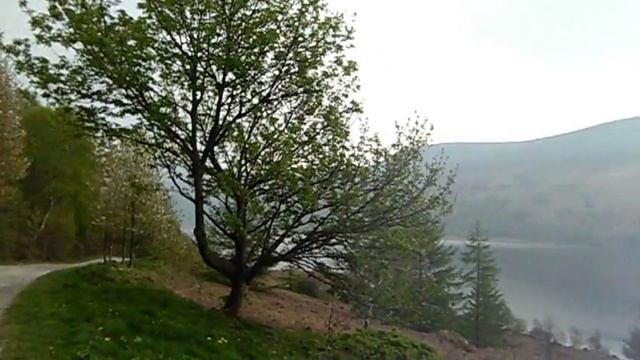 Casio Exilim ZS5 Digital Camera Test Video смотреть онлайн