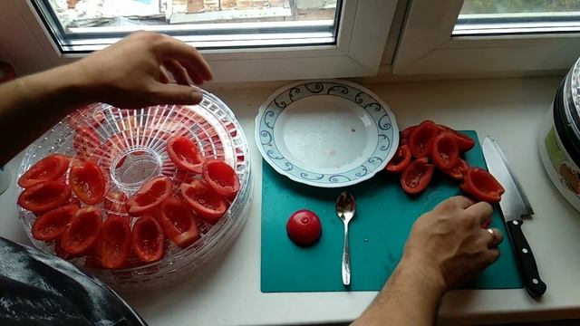 Электросушилка, пробуем вялить мясо и помидоры
