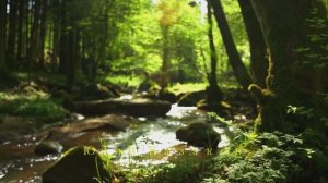 Лечебная, спокойная музыка.