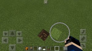 Как сделать живую тыкву в Minecraft