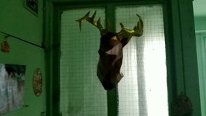 Запечённый в духовке ЛИНЬ. Простой рецепт для хорошего настроения |Мировой закусон