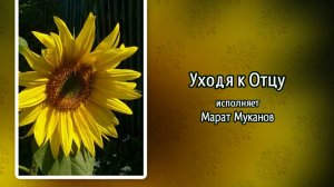 Уходя к Отцу (+)