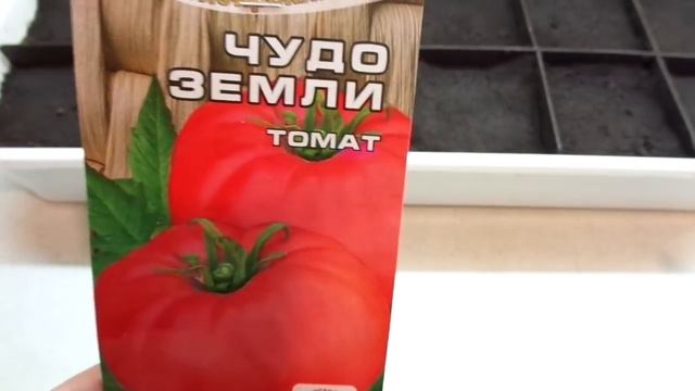 САМЫЕ КРУПНЫЕ СИБИРСКИЕ ТОМАТЫ! СОРТ ЧУДО ЗЕМЛИ. Обзор Ольги Черновой.