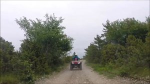 Honda TRX680FA (max speed)