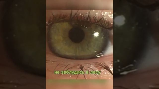 мне нравится карие глаза, но просто не знала что написать) #рек #глаз #красота #глаза #пжподпишись смотреть онлайн