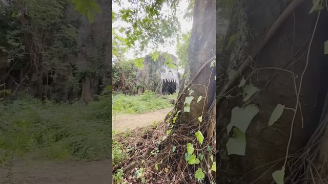 Wonderia Yang Berdiri Diatas Makam Keramat.