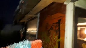 Курица села на яйца? Получится ли вывести цыплят?