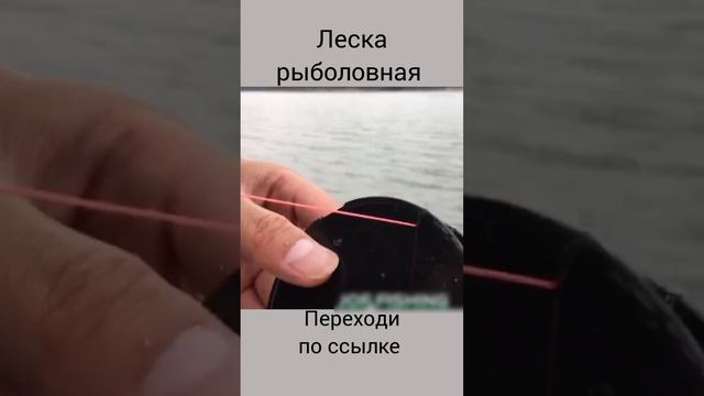 рыболовная леска
