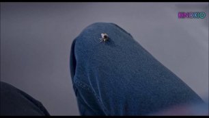 Человек против Пчелы / Man vs bee / Комедия / Трейлер / Фильм 2022