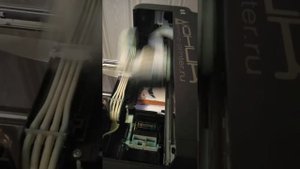 Обзор принтера ЮНИК-4 для печати на пряниках. Полгода использования.