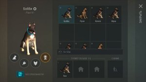 50 ЭЛИТНЫХ ЩЕНКОВ! НАШЕЛ СОБАКУ ВЕРНЫЙ ДРУГ 4 РАНГА!!! | Last Day on Earth: Survival