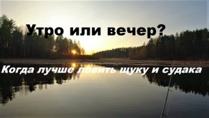 Утро или вечер? Когда ловить хищника.