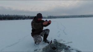 РЫБАЛКА НА ЗАБЫТОМ ТАЁЖНОМ ОЗЕРЕ. ТЯГАЮ ОКУНЕЙ НА БЛЕСНУ.