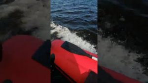 хайди 9.9 орка драккар 370