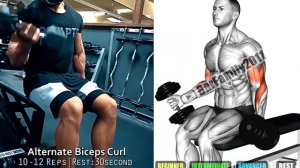 Dumbbells Biceps Exercises At Home - Best 7 Exercise at Home