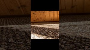 Распаковка мистических животных