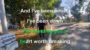 1080 How You Remind Me -  Nickelback (Karaoke)