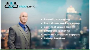 The PEO Link - Payroll Service Solutions
