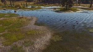 Way of The Hunter Wild Duck Location - Where To Hunt Wild Ducks