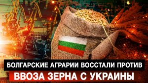 Болгарские аграрии восстали против ввоза зерна с Украины