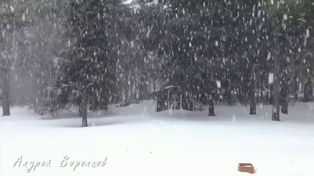 Рождественское чудо. смотреть онлайн