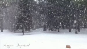 Рождественское чудо.