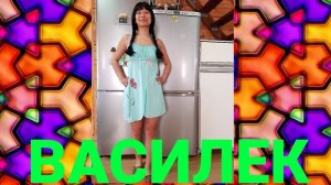 ПОДАРКИ ОТ КОМПАНИИ ВАСИЛЁК